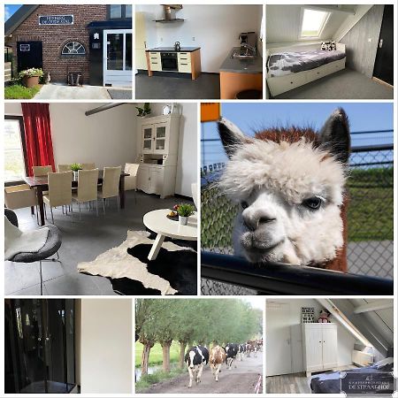 Herberg Boerderij De Straat-Hof Bed and Breakfast Leimuiden Εξωτερικό φωτογραφία