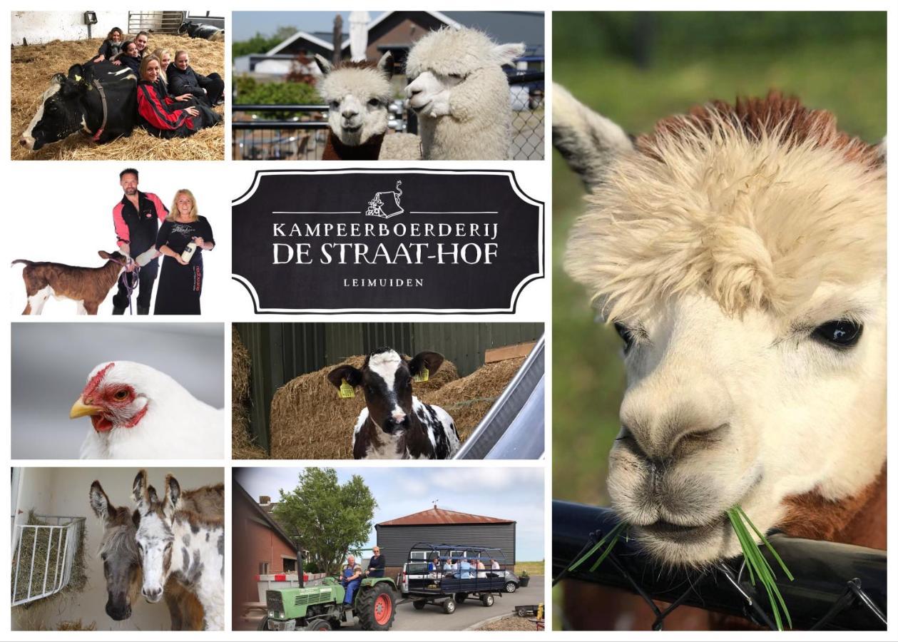 Herberg Boerderij De Straat-Hof Bed and Breakfast Leimuiden Εξωτερικό φωτογραφία