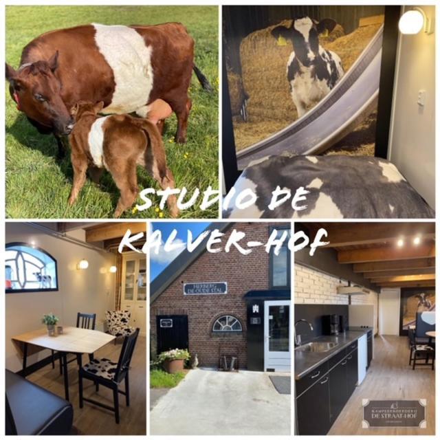 Herberg Boerderij De Straat-Hof Bed and Breakfast Leimuiden Εξωτερικό φωτογραφία