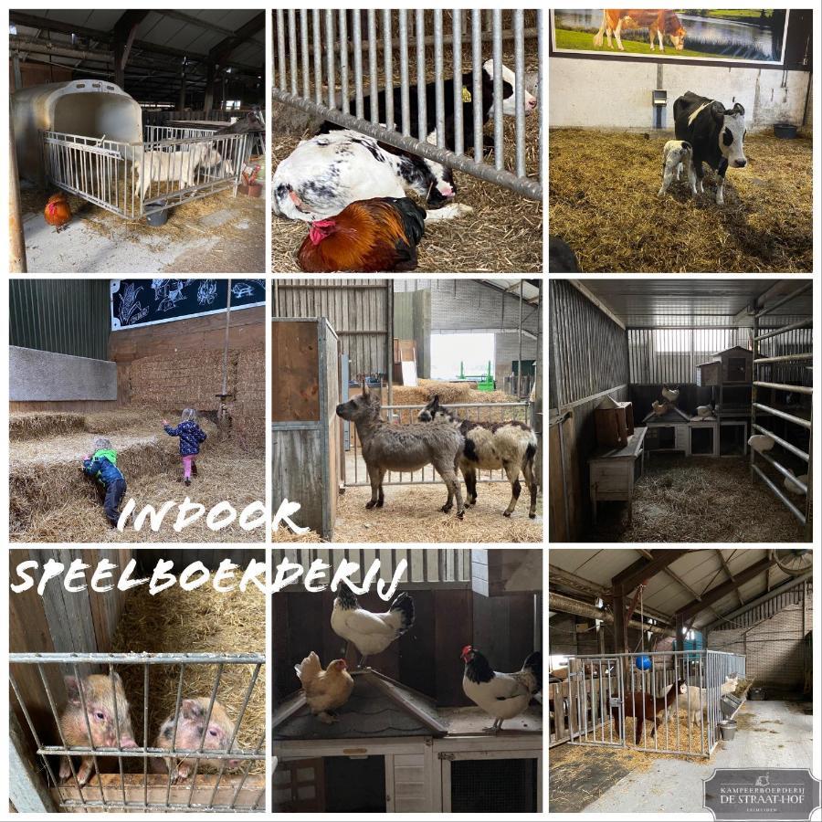 Herberg Boerderij De Straat-Hof Bed and Breakfast Leimuiden Εξωτερικό φωτογραφία